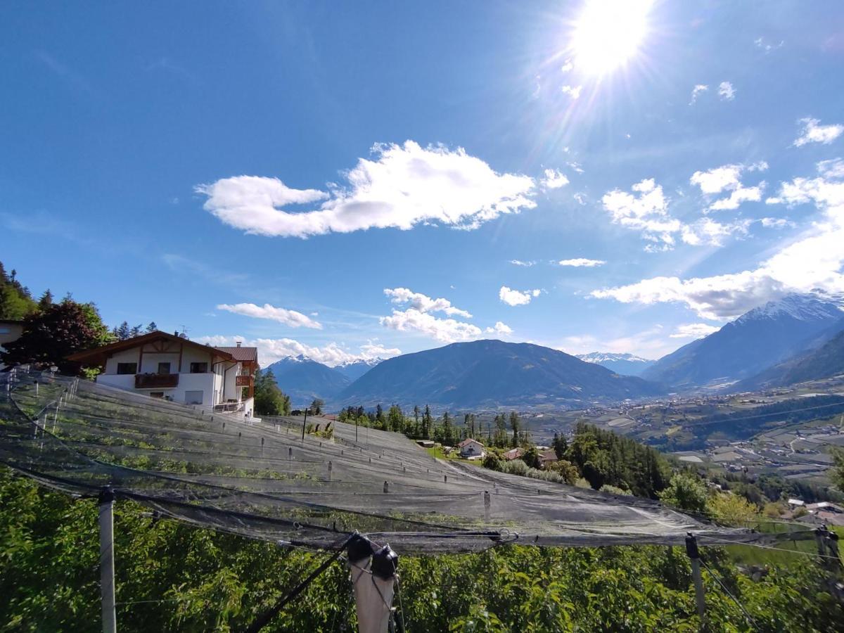 Pruensterhof Schenna Διαμέρισμα Εξωτερικό φωτογραφία