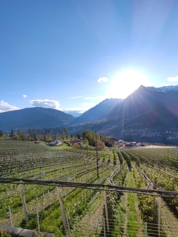 Pruensterhof Schenna Διαμέρισμα Εξωτερικό φωτογραφία