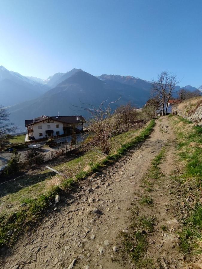 Pruensterhof Schenna Διαμέρισμα Εξωτερικό φωτογραφία