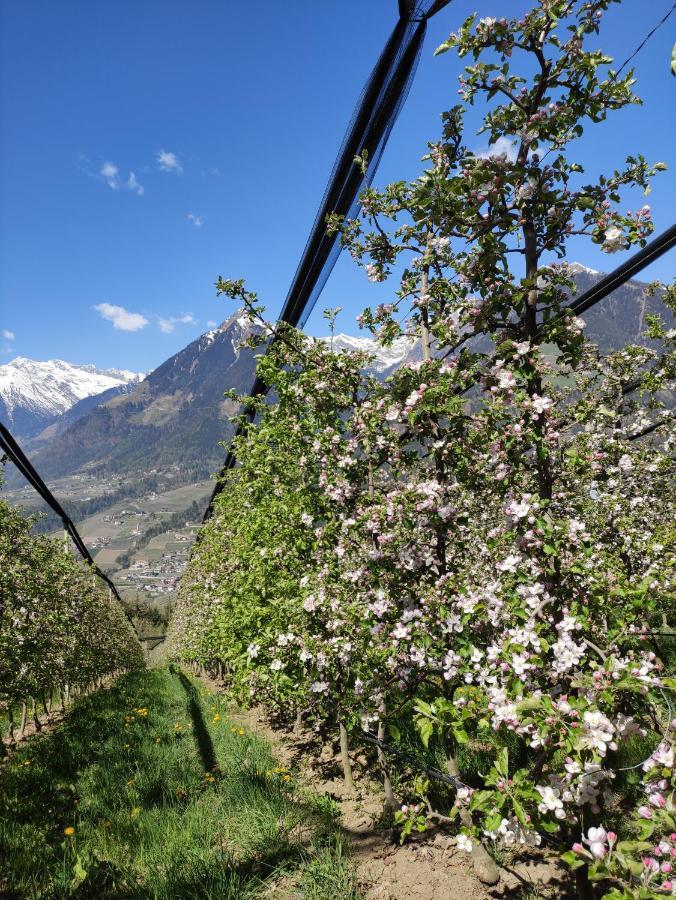 Pruensterhof Schenna Διαμέρισμα Εξωτερικό φωτογραφία