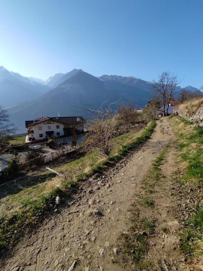 Pruensterhof Schenna Διαμέρισμα Εξωτερικό φωτογραφία