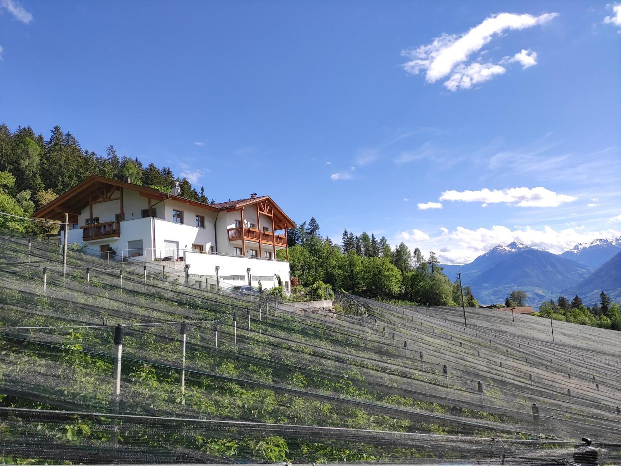Pruensterhof Schenna Διαμέρισμα Εξωτερικό φωτογραφία