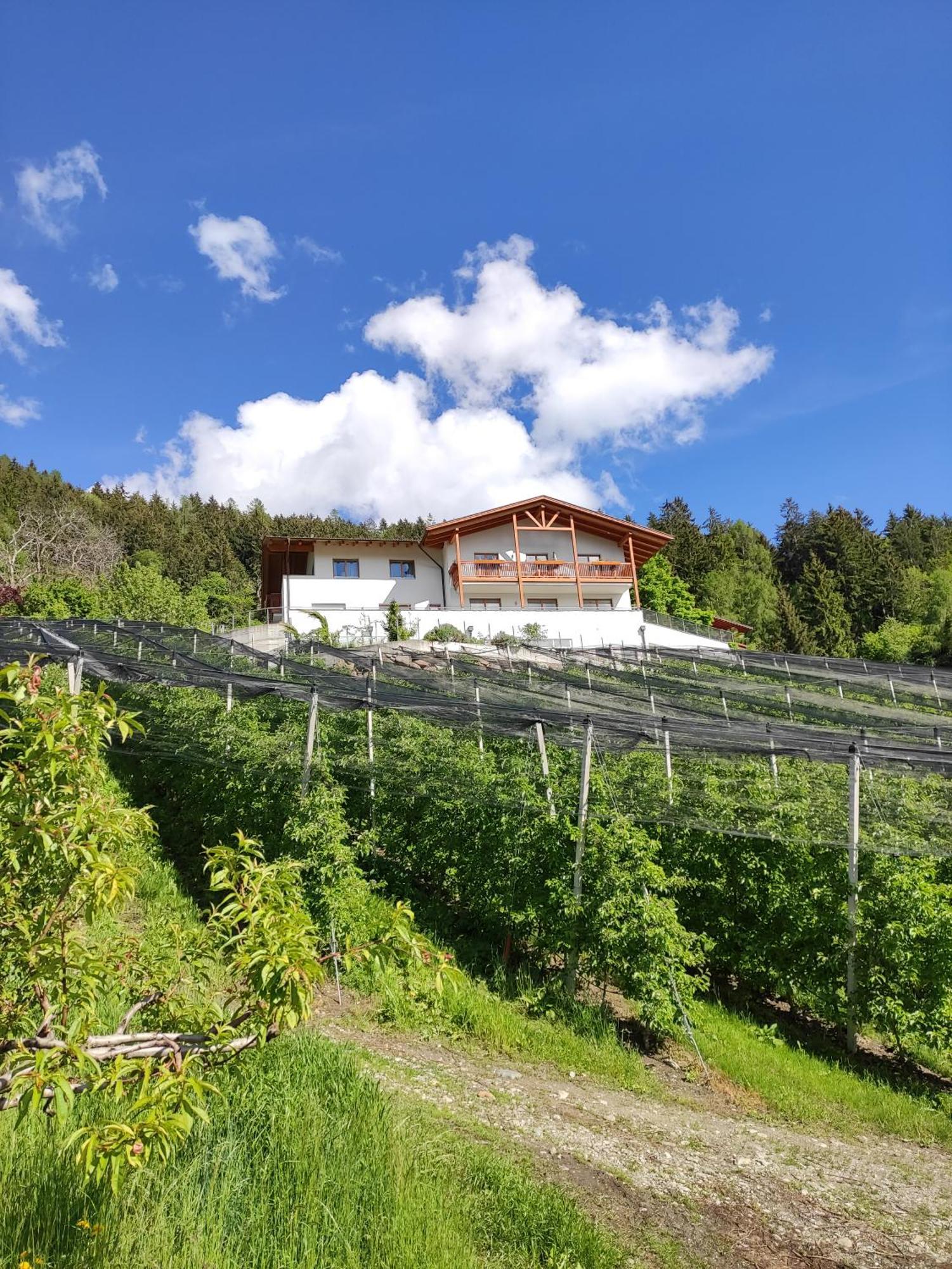 Pruensterhof Schenna Διαμέρισμα Εξωτερικό φωτογραφία