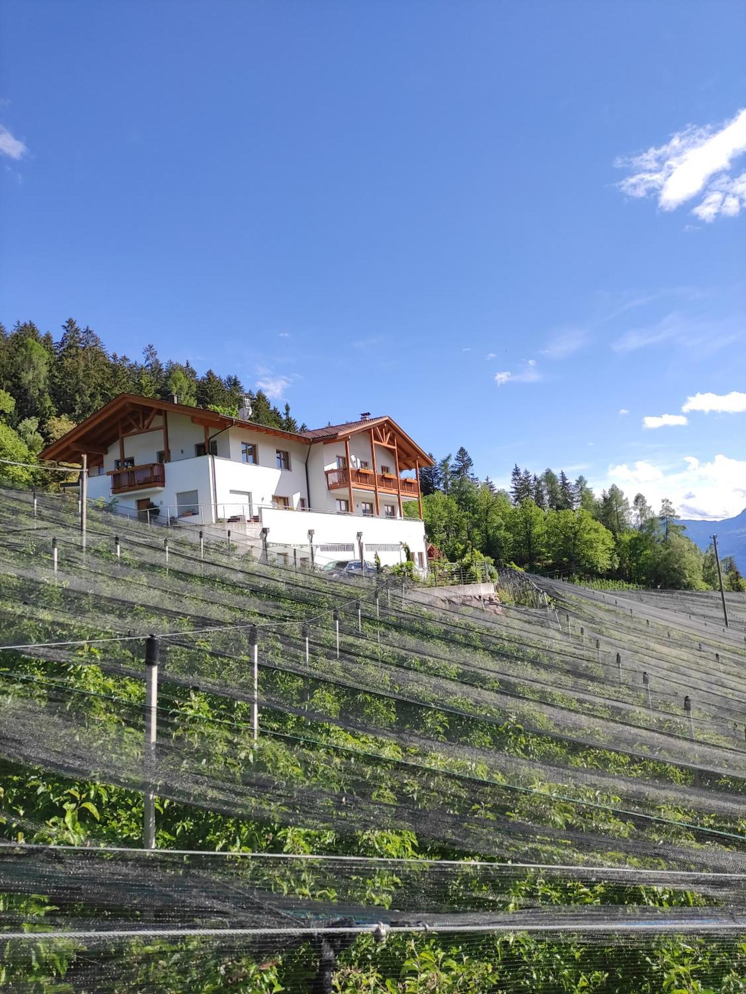 Pruensterhof Schenna Διαμέρισμα Εξωτερικό φωτογραφία